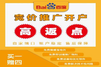 网站SEM托管服务成功案例分享